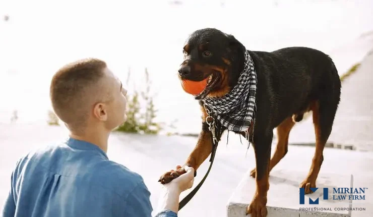 What are the Laws About Dog Bites in Toronto?